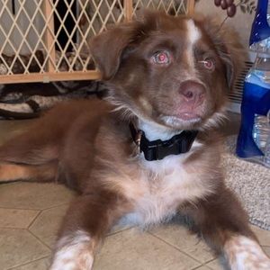 Meet your Posher, Tori